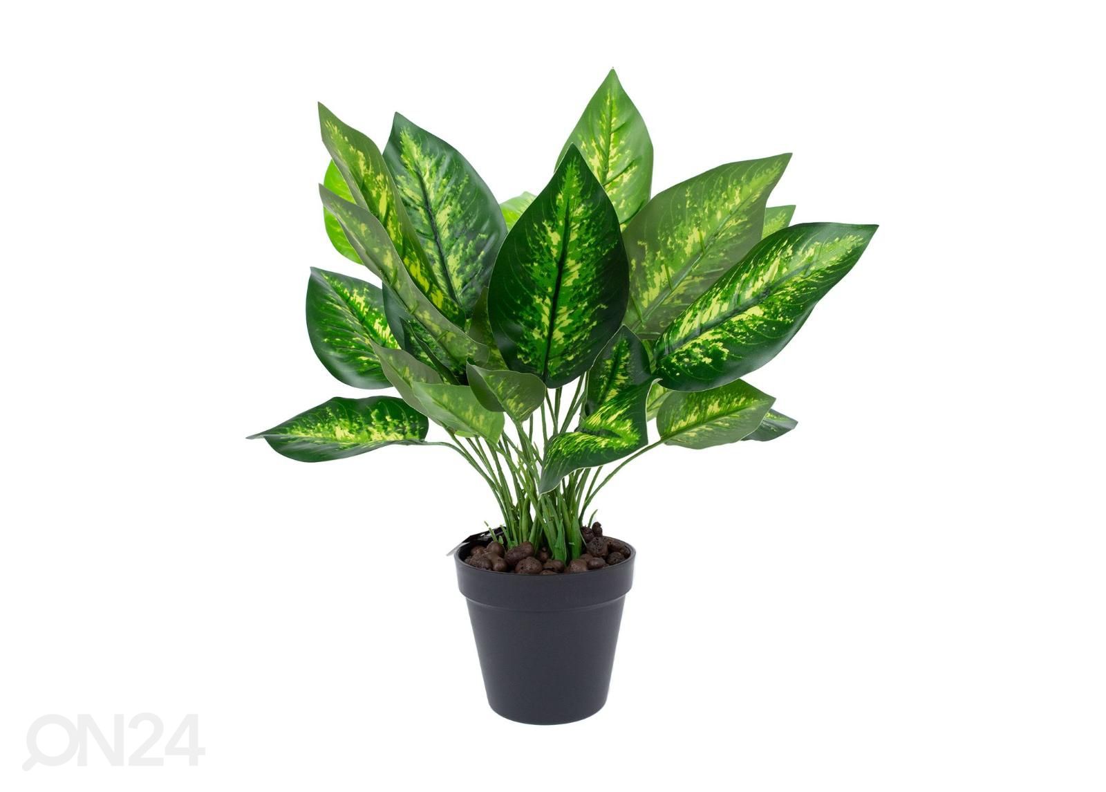 Kunsttaim Dieffenbachia 45 cm suurendatud