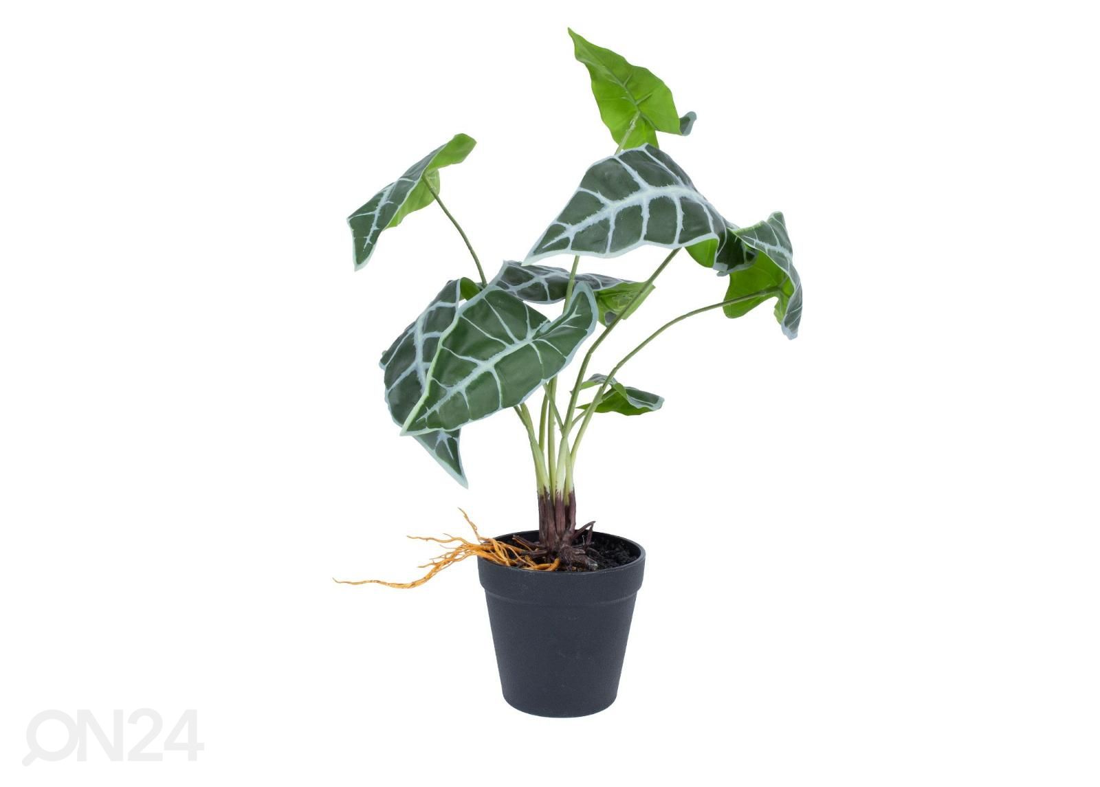 Kunsttaim Greenland Alocasia 40 cm suurendatud