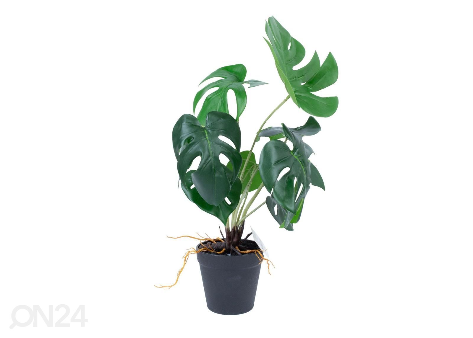 Kunsttaim Greenland Monstera 40 cm suurendatud