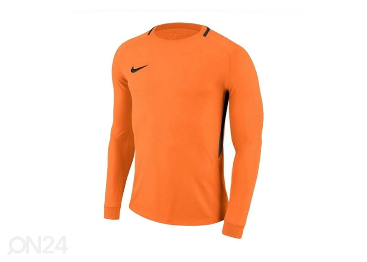 Laste väravavahisärk Nike Dry Park III LS Junior 894516-803 suurus L suurendatud