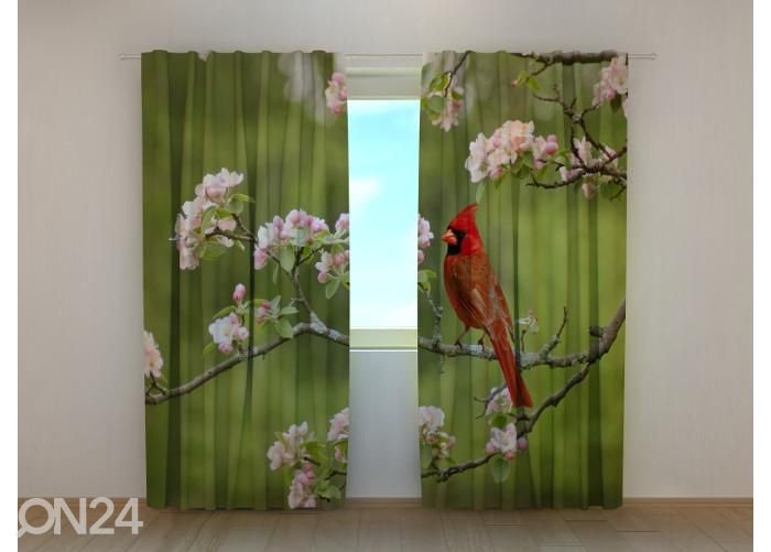 Pimendav fotokardin Bird Cardinal on a Spring Twig 240x220 cm suurendatud