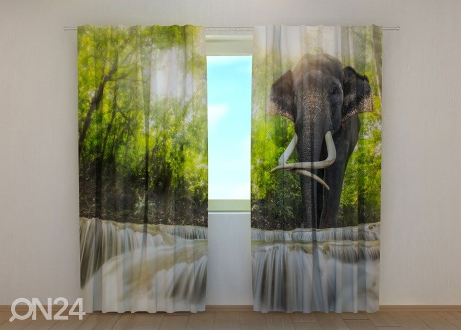 Pimendav kardin Big Elephant 240x220 cm suurendatud