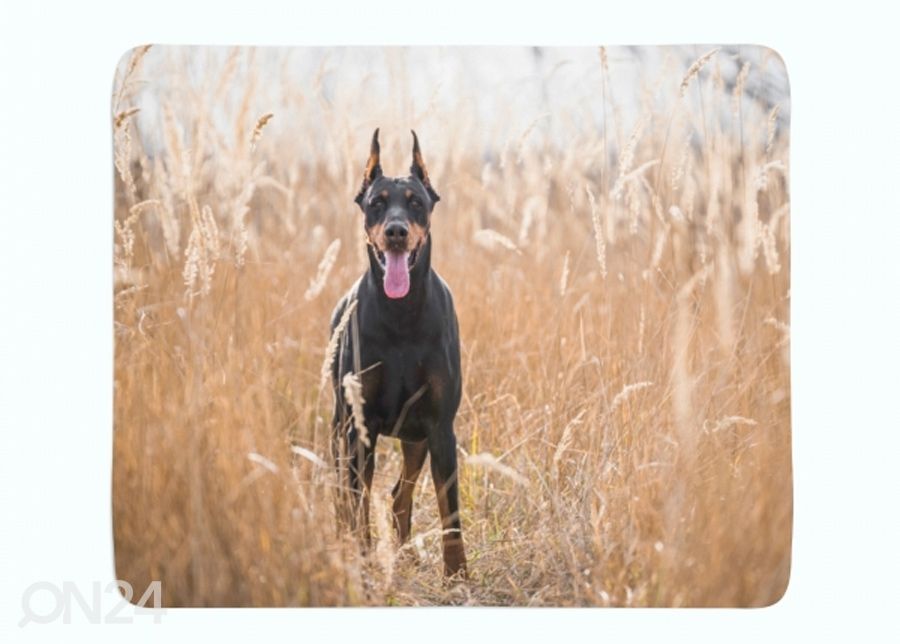 Pleed Doberman Pinscher in the Golden Grass 130x150 cm suurendatud