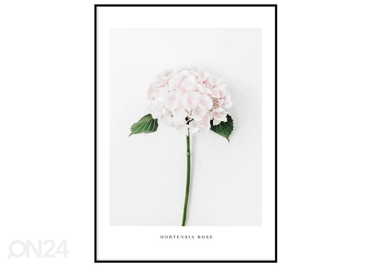 Poster Hortensia 21x30 cm suurendatud