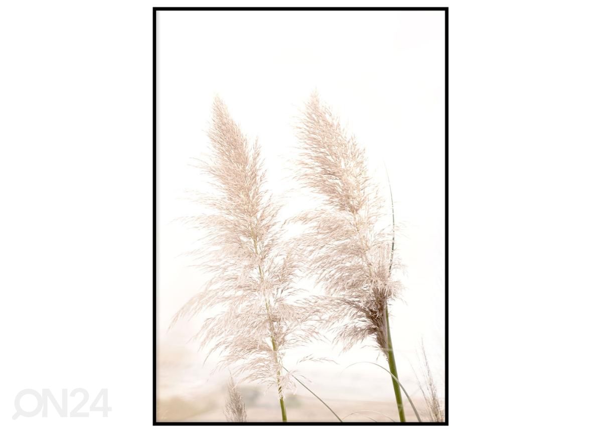 Poster Pampas lehed 21x30 cm suurendatud