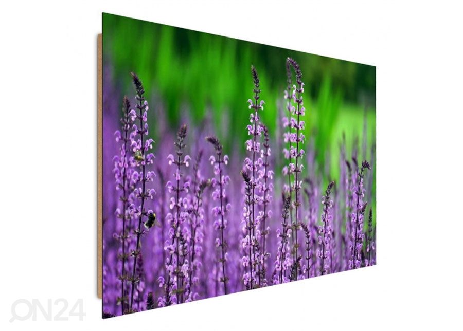 Seinapilt Blooming lavender 40x50 cm suurendatud