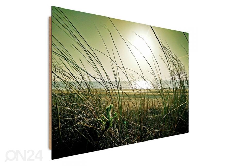 Seinapilt Coastal grass 30x40 cm suurendatud