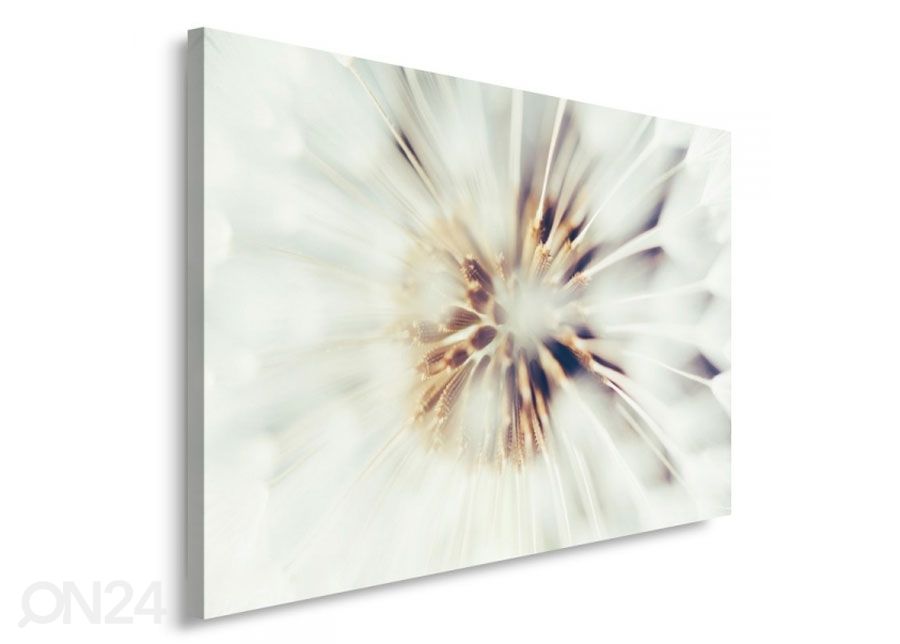 Seinapilt Dandelion 50x70 cm suurendatud