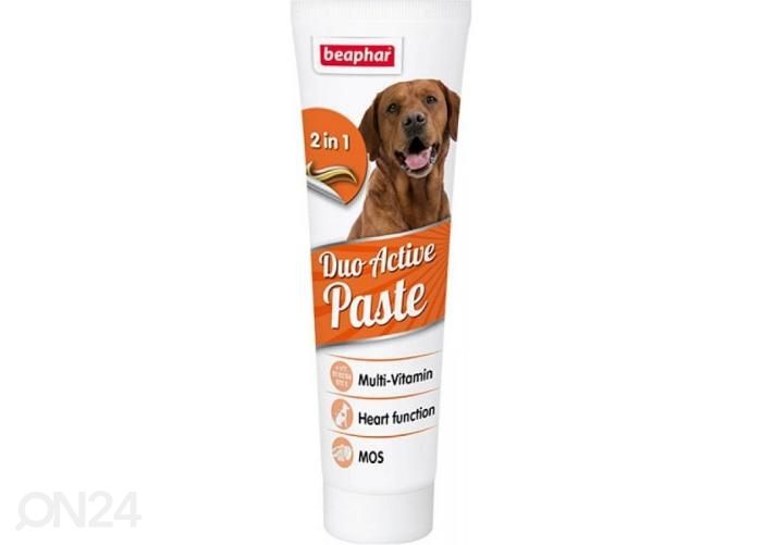 Söödalisand Beaphar Duo Active Paste Dog 100 g suurendatud