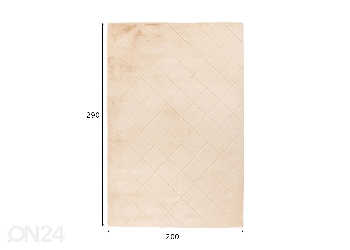 Vaip Impulse Beige 200x290 cm suurendatud mõõdud