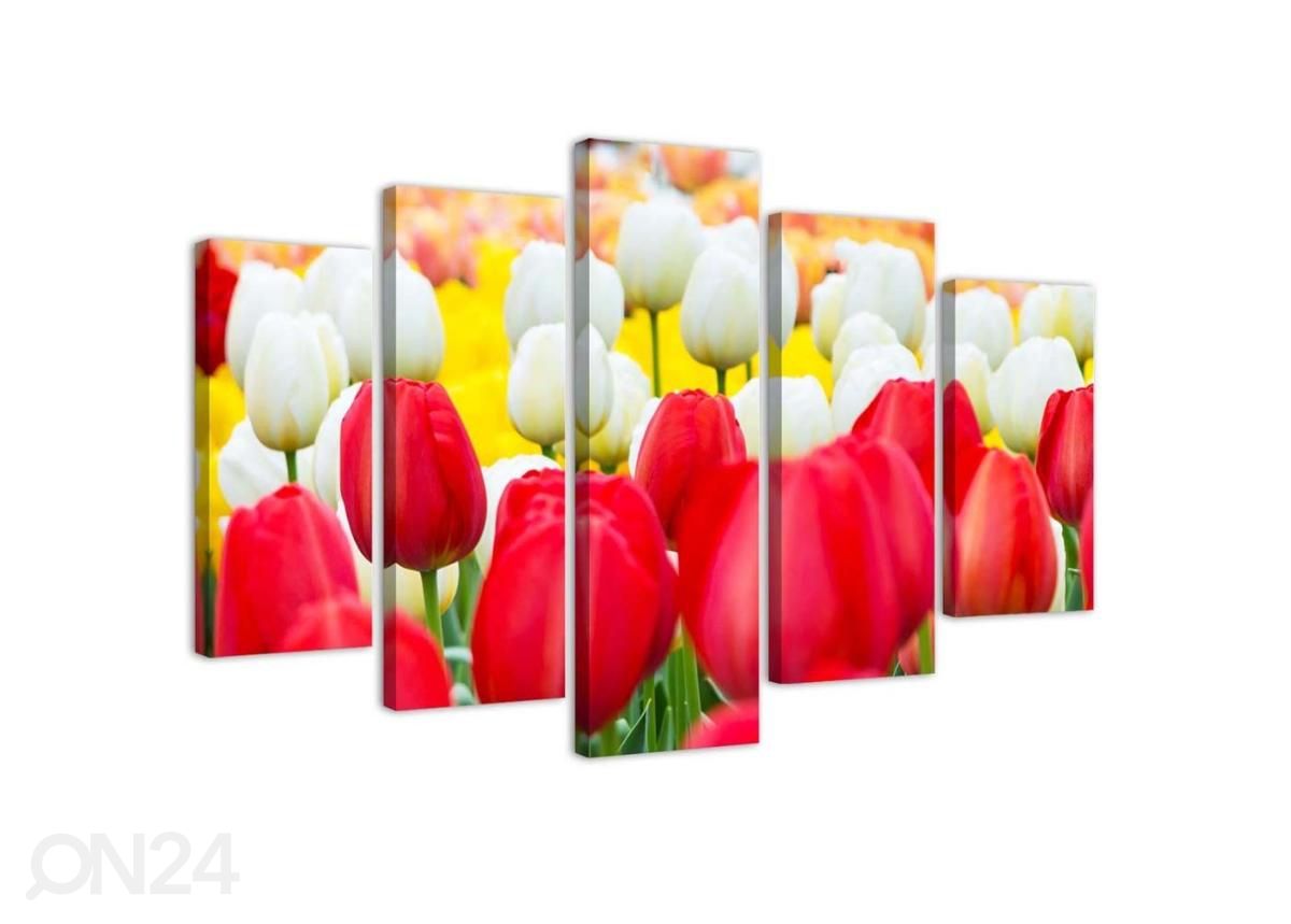 Viieosaline seinapilt White and Red Tulips 150x100 cm suurendatud