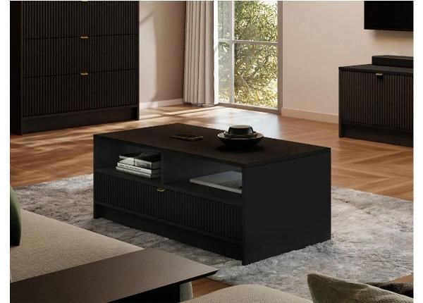 Diivanilaud 100x50 cm