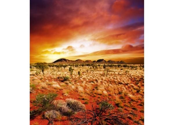 Fliis fototapeet Australian landscape