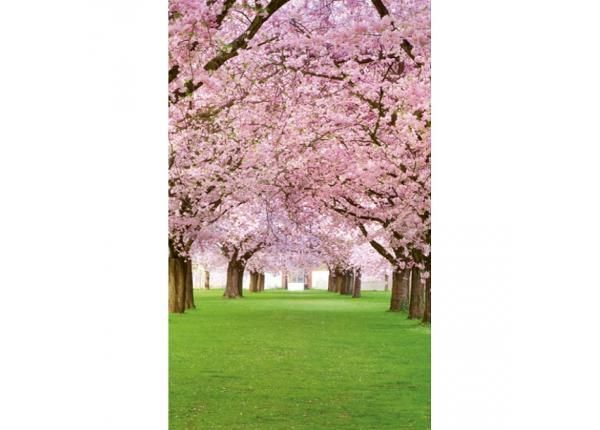 Fliis fototapeet Cherry trees