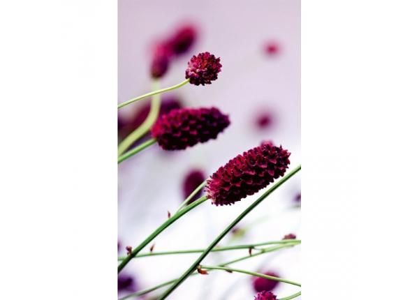 Fliis fototapeet Floral violet
