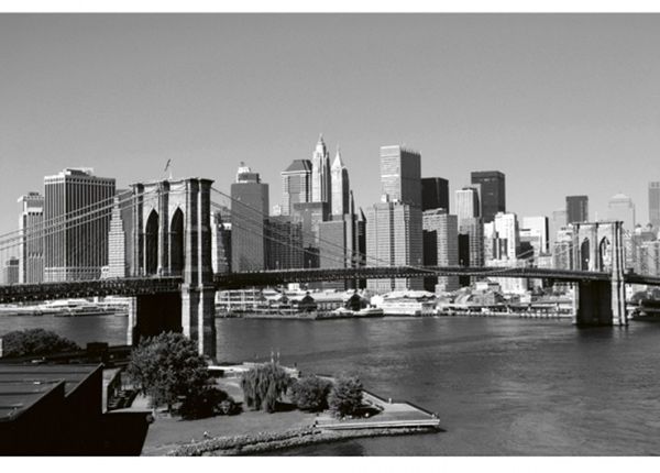 Fliis fototapeet Manhattan gray