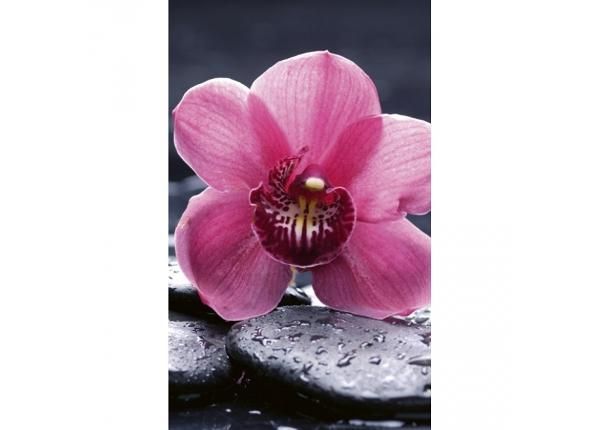 Fliis fototapeet Orchid