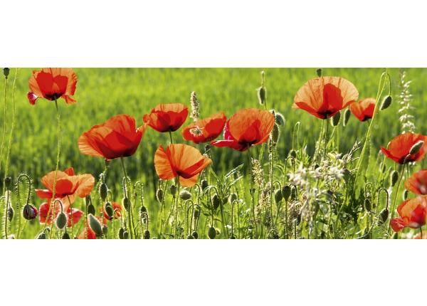 Fliis fototapeet Poppy field 375x150 cm