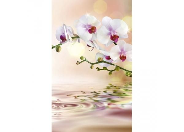 Fliis fototapeet White orchid