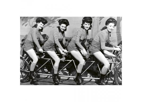 Fliis fototapeet Women on bicycle 375x250 cm