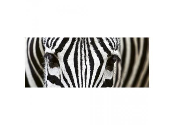 Fliis fototapeet Zebra