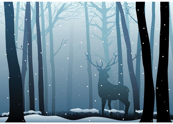 Fototapeet Deer in the dark wood 365x254cm