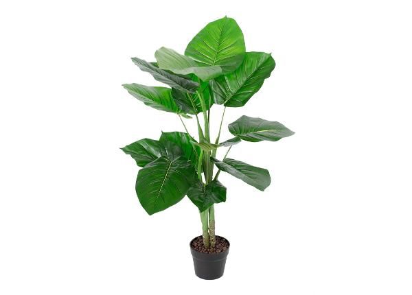 Kunstpuu Pothos 90 cm