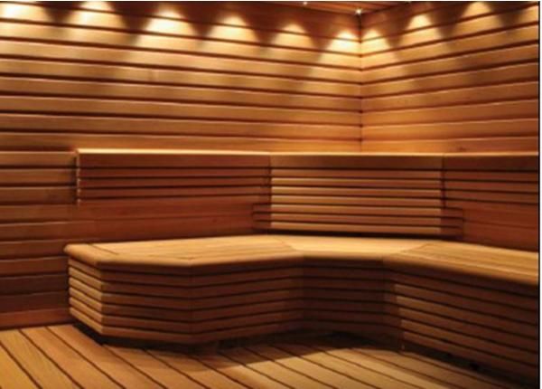 LED saunavalgustid 12 x 0,2 W, matt must