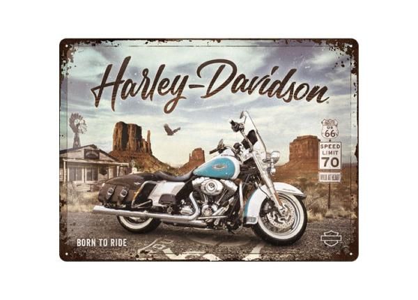 Metallplaat 30x40 cm Harley Davidson - Route 66 Road King Classic