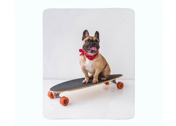 Pleed French Bulldog on Skateboard 150x200 cm