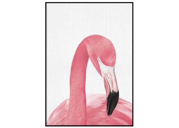 Poster Flamingo portree