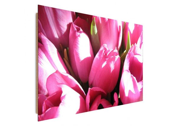 Seinapilt Pink tulips 50x70 cm