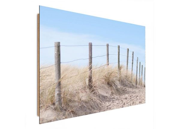 Seinapilt Seaside dune 50x70 cm