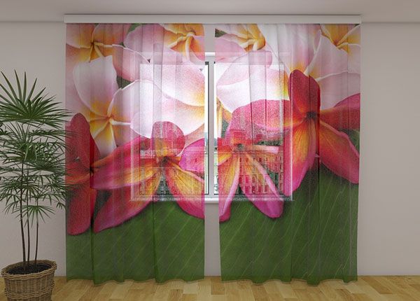 Šifoon-fotokardin Tropical Flowers 3, 240x220 cm