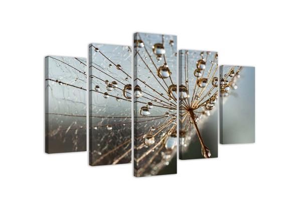 Viieosaline seinapilt Dew Drops and Cobweb 150x100 cm