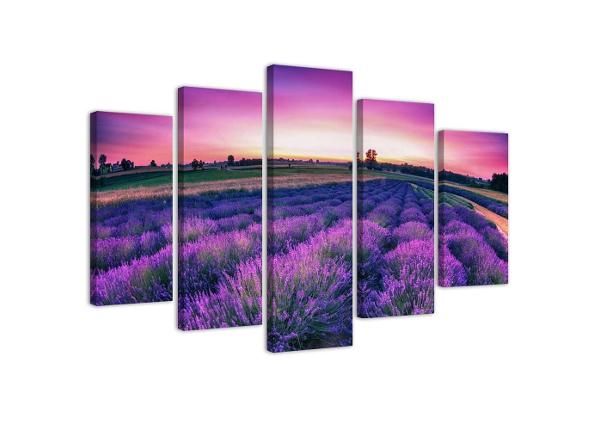 Viieosaline seinapilt Lavender Field 150x100 cm