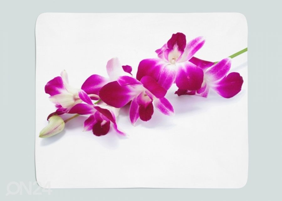 Pleed Purple-Crimson Orchid 130x150 cm suurendatud